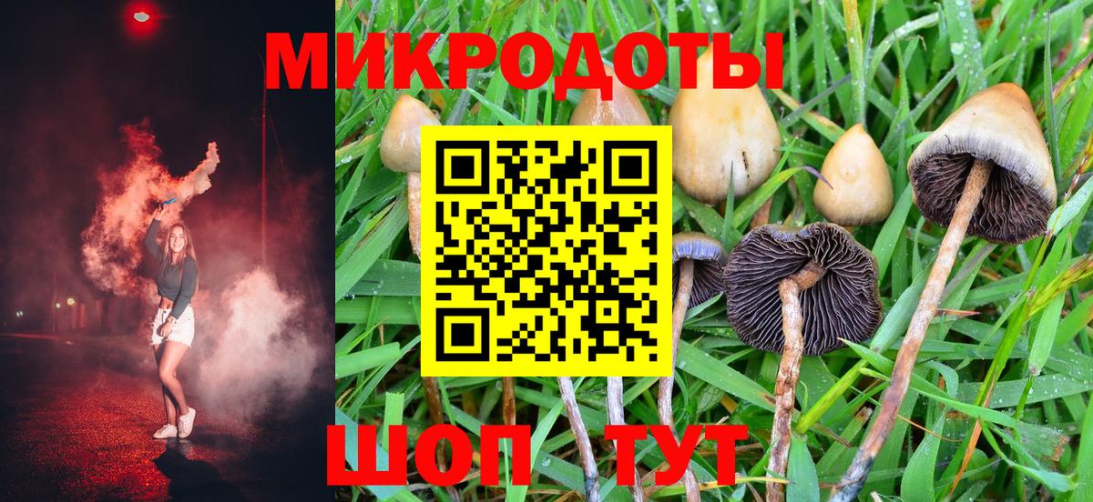 Тосно  Галлюциногенные грибы Psilocybine cubensis  Вход с VPN 