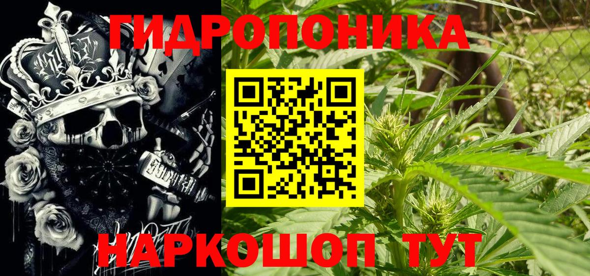 Конопля сатива  Вход с VPN  Бошки марихуана Bruce Banner  Тосно  Каннабис тримм 